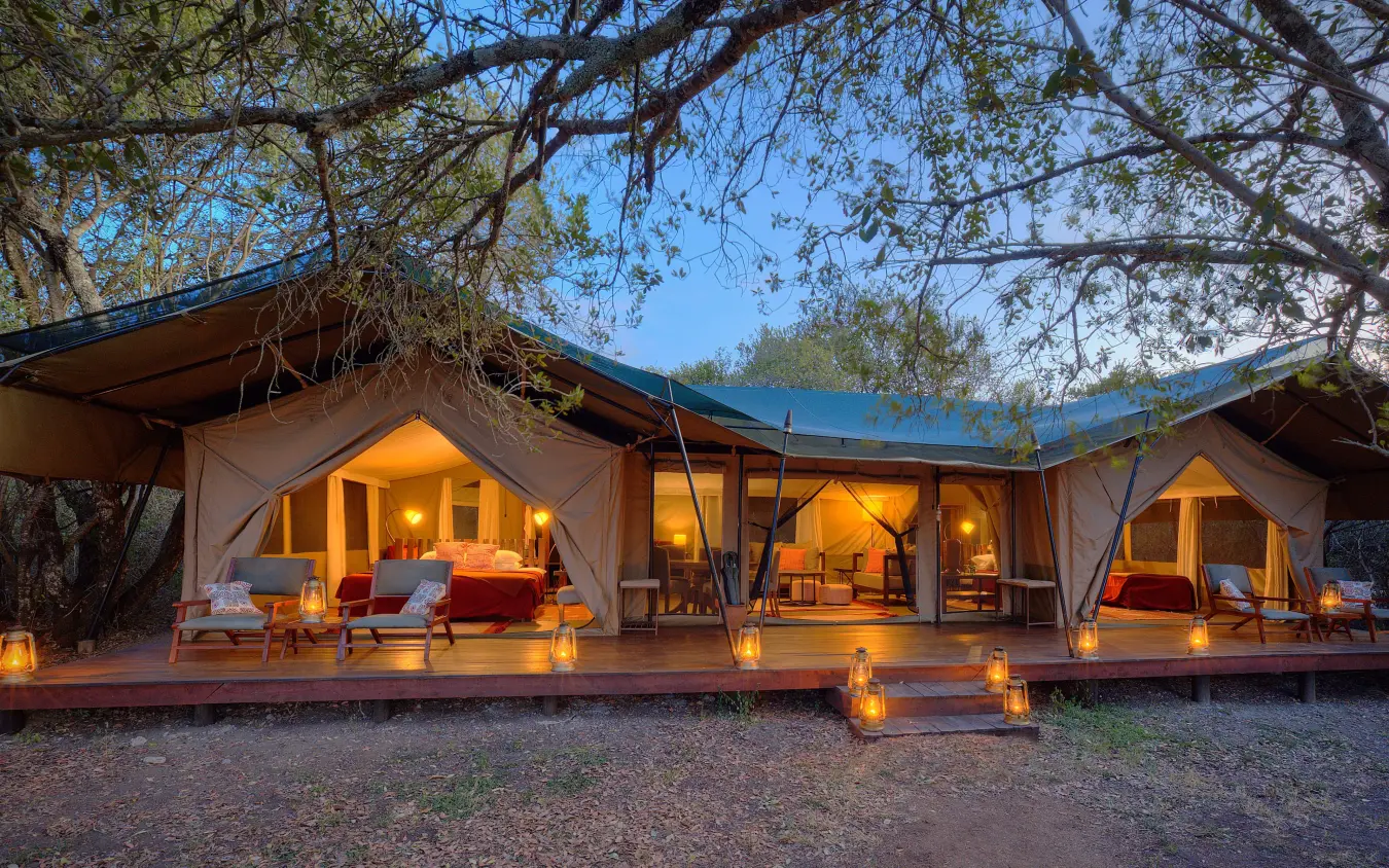 Safari camp tent accommodation lit warmly at dusk under acacia trees, Kicheche Bush Olare, Maasai Mara, Kenya