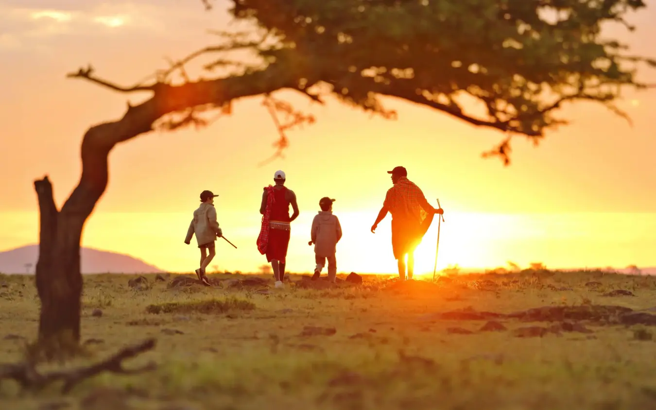 Guides walking with guests at sunrise on savanna, Kicheche Mara North, Maasai Mara, Kenya
