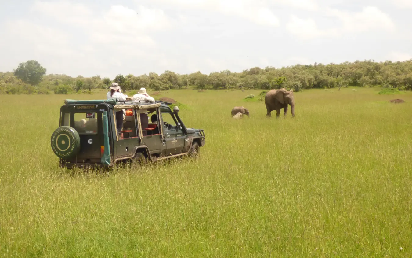 Safari vehicle with tourists observing elephants in grassland, Kicheche Mara North, Maasai Mara, Kenya