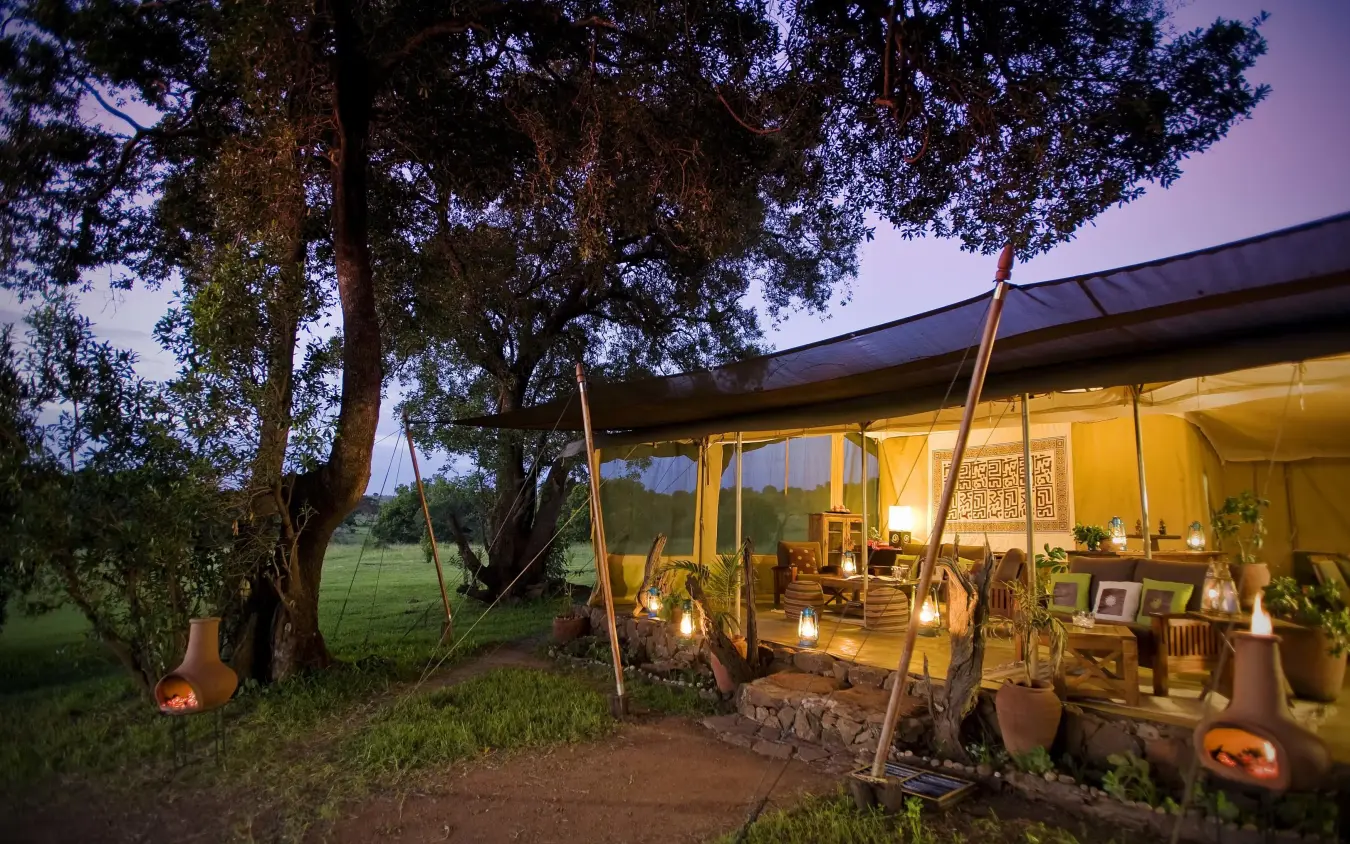 Illuminated safari tent at dusk with tall trees nearby, Kicheche Mara North, Maasai Mara, Kenya