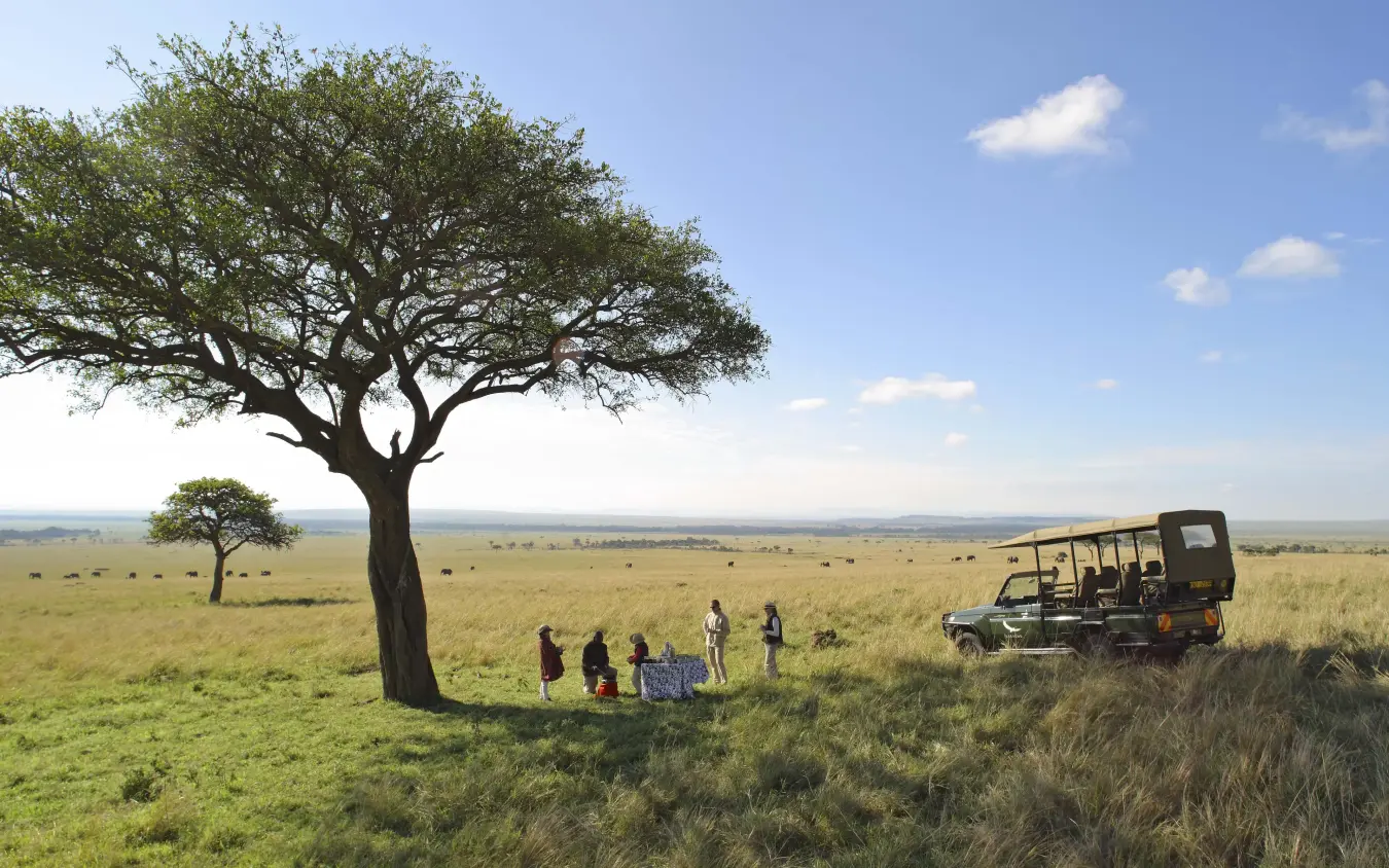 Safari vehicle stopped under acacia tree with guests during game drive, Kichwa Tembo Tented Camp, Maasai Mara, Kenya