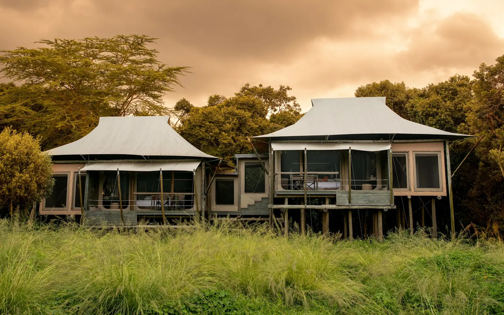Elevated safari lodge with canvas roof pavilions in natural grassland setting, Kichwa Tembo Tented Camp, Maasai Mara, Kenya