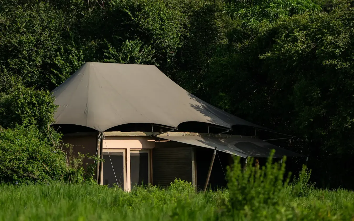 Glamping tent with extended awning surrounded by dense green vegetation, Kichwa Tembo Tented Camp, Maasai Mara, Kenya