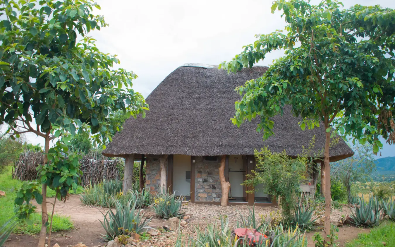 Thatched-roof lodge building surrounded by green trees and plants, Kidepo Savannah Lodge, Kidepo Valley, Uganda