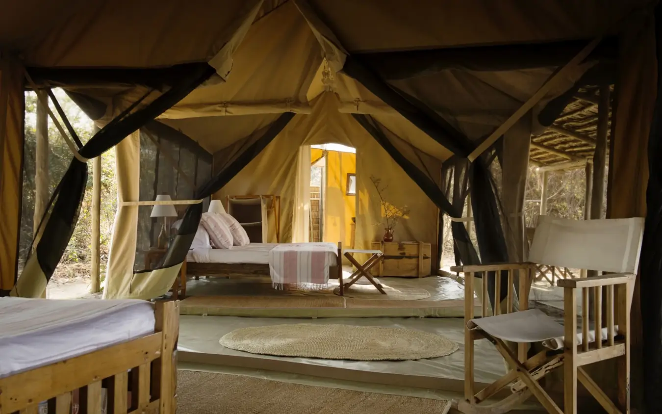 Canvas safari tent interior with wooden beds and furniture, Kigelia Ruaha, Ruaha National Park, Tanzania