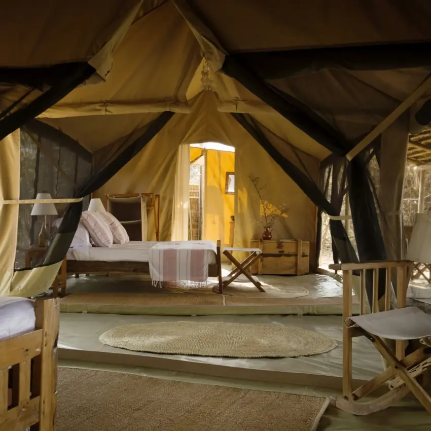 Canvas safari tent interior with wooden beds and furniture, Kigelia Ruaha, Ruaha National Park, Tanzania