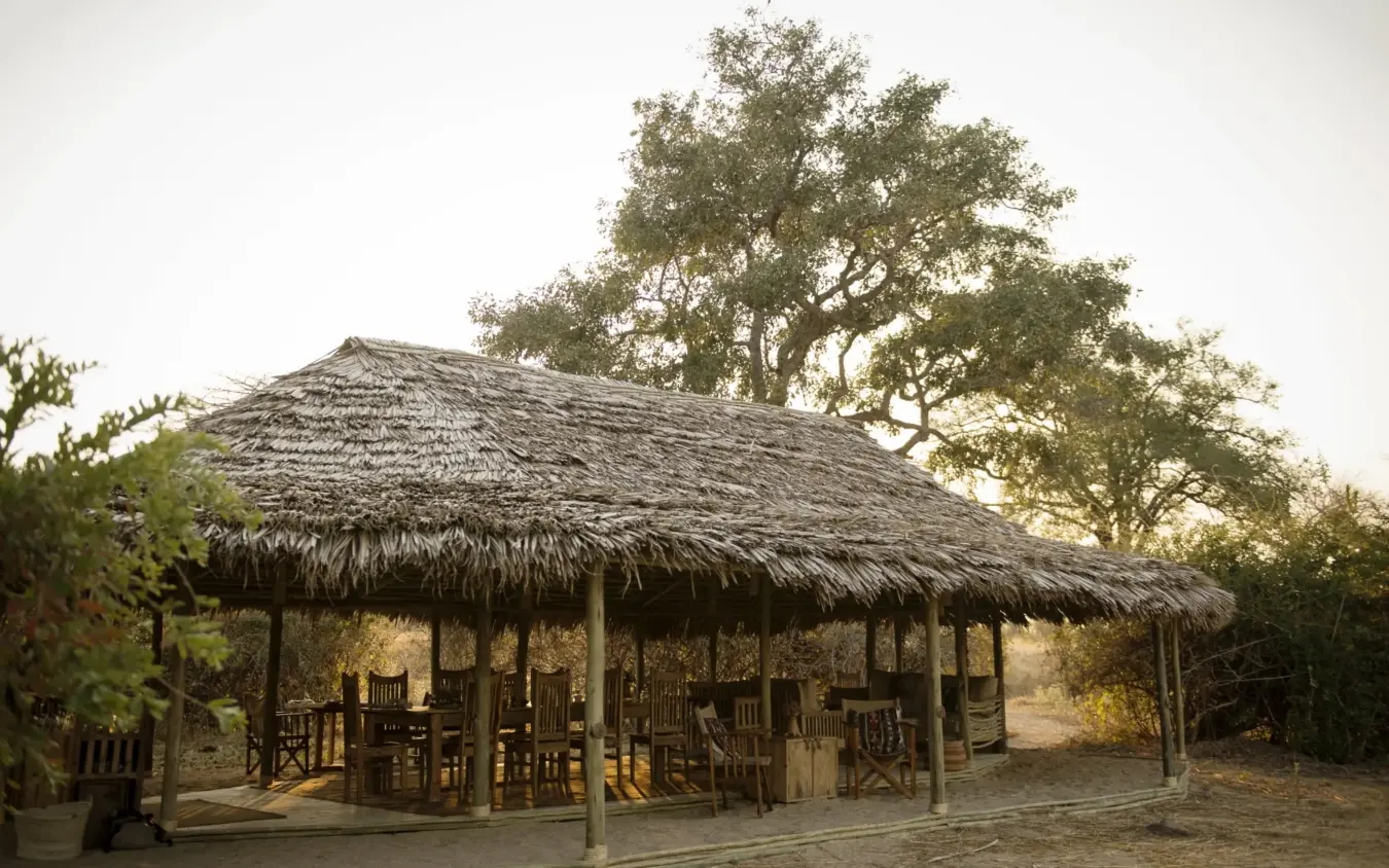 Thatched roof lodge building at golden hour sunset, Kigelia Ruaha, Ruaha National Park, Tanzania