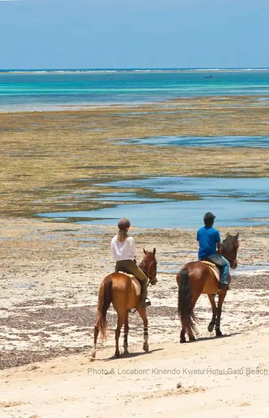 Couple horseback riding on sandy beach with turquoise water, Kinondo Kwetu, Diani Beach, Kenya