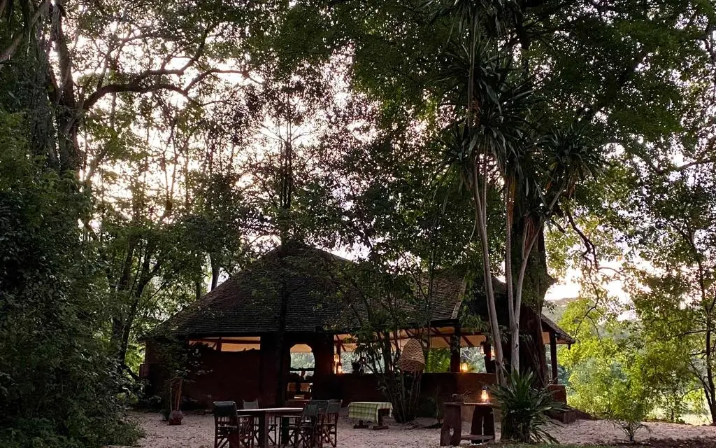 Rustic wooden lodge structure surrounded by tall forest trees, Kitich Camp, Northern Kenya, Kenya