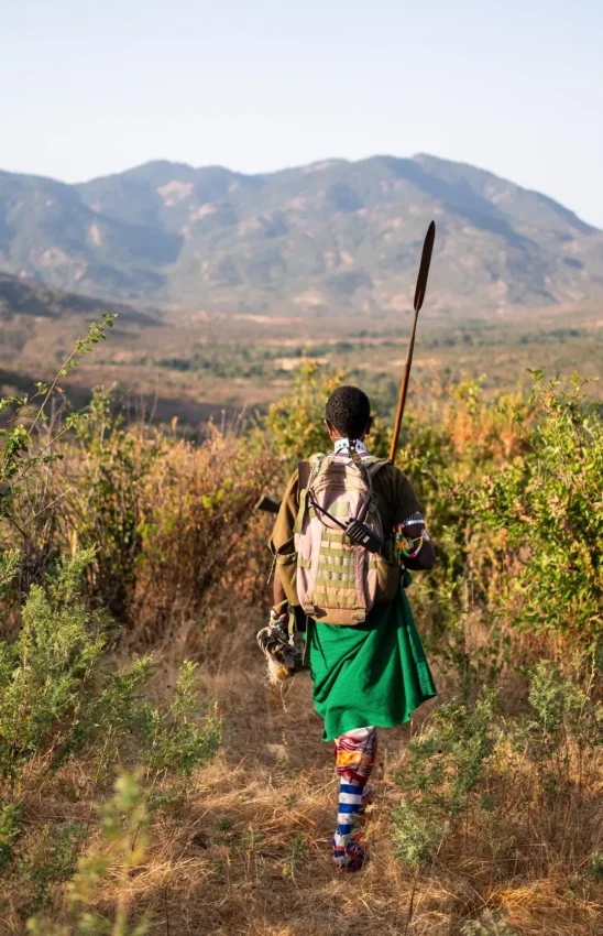 Hiker with spear walking through savanna landscape toward distant mountains, Kitich Camp, Northern Kenya, Kenya