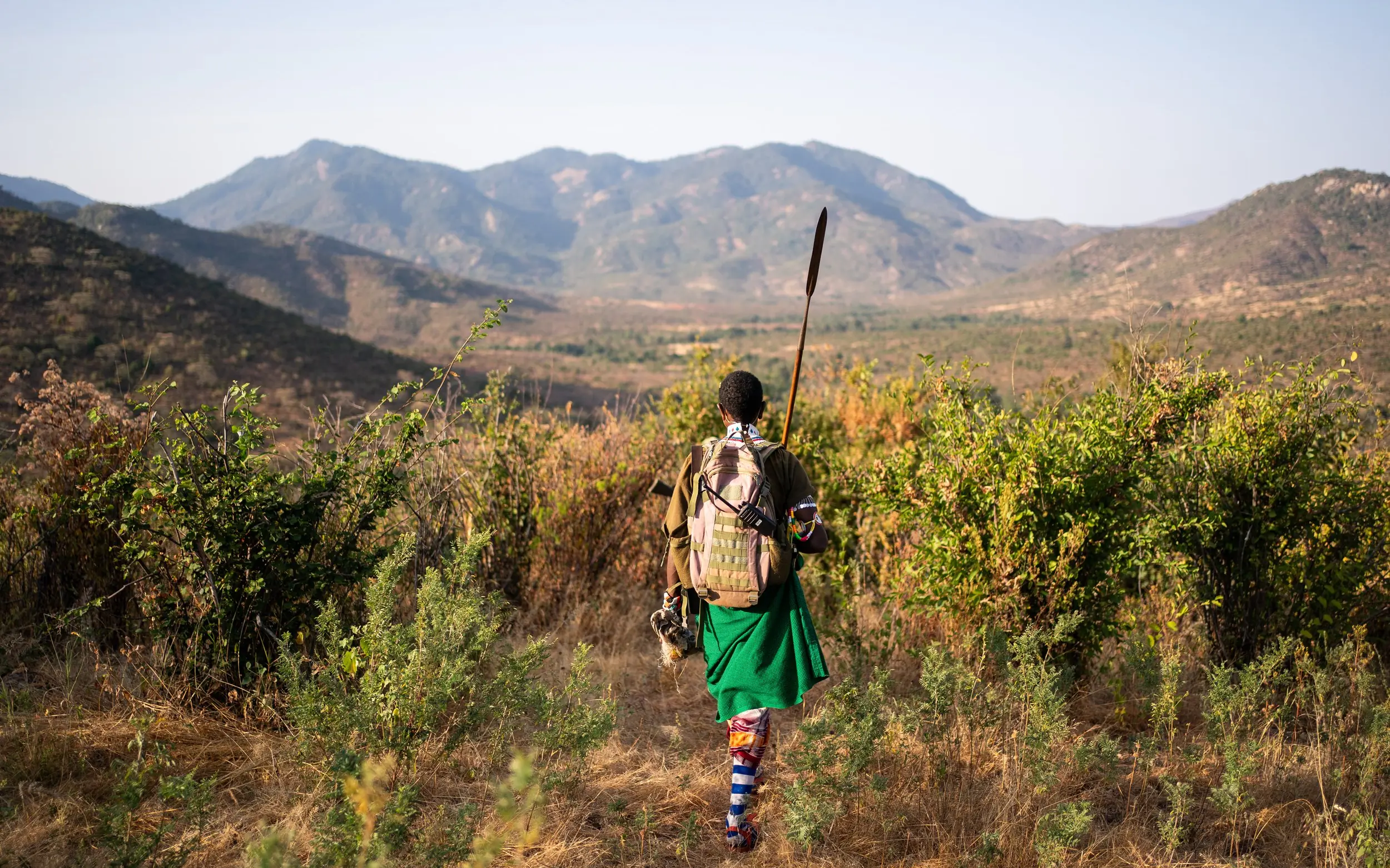 Hiker with spear walking through savanna landscape toward distant mountains, Kenya