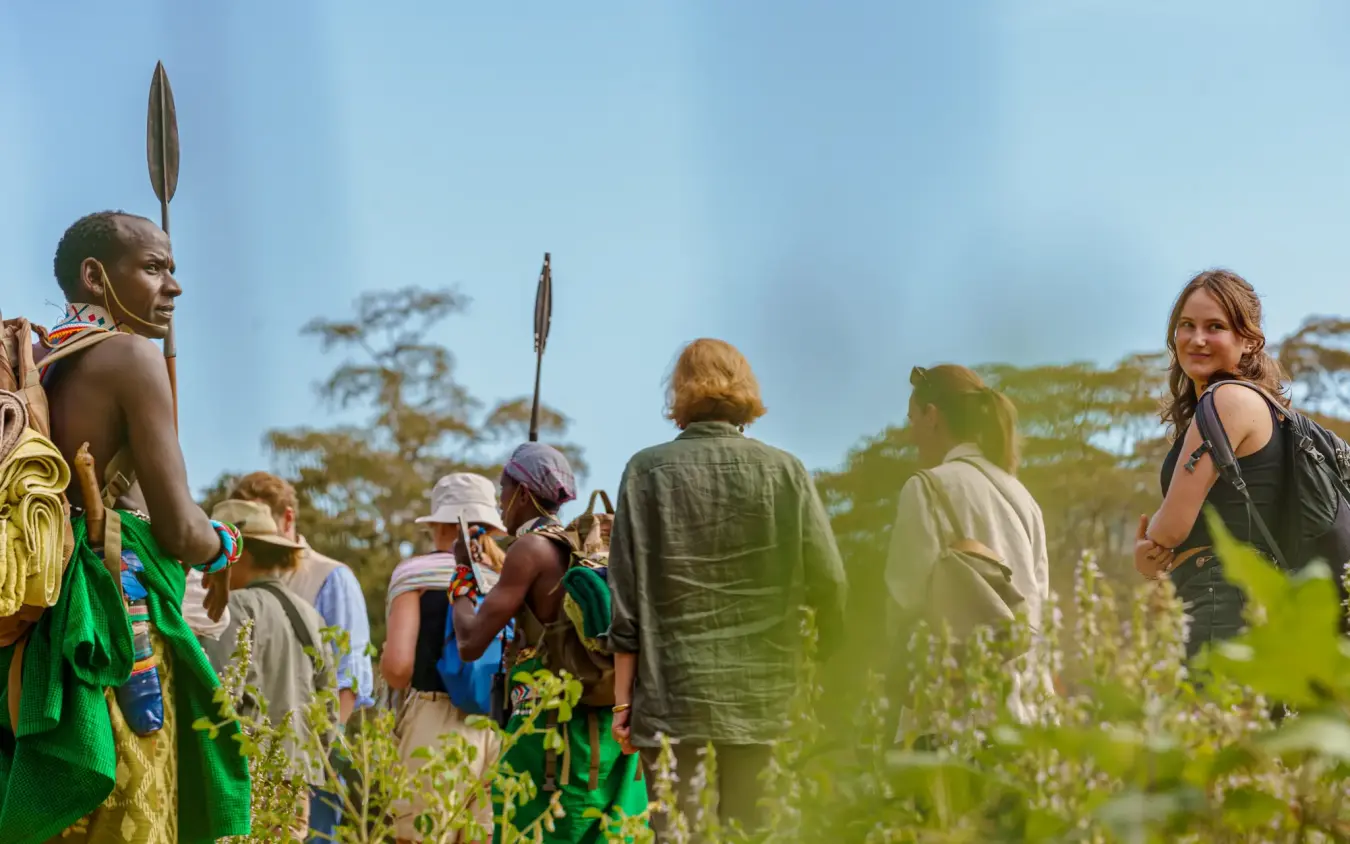 Group walking through tall grass during guided forest activity, Kitich Camp, Northern Kenya, Kenya