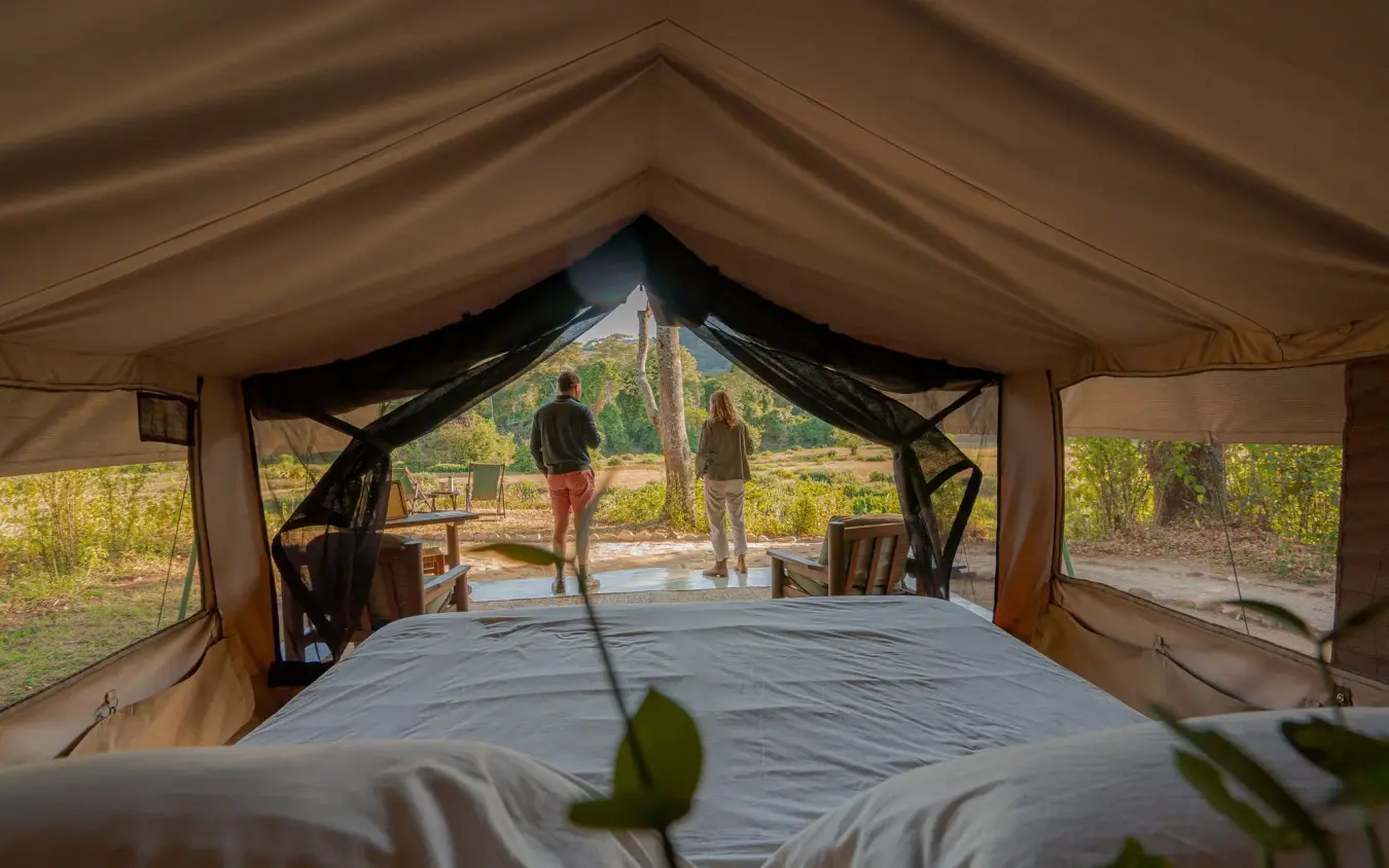 Interior view of safari tent with open entrance and guests outside, Kitich Camp, Northern Kenya, Kenya