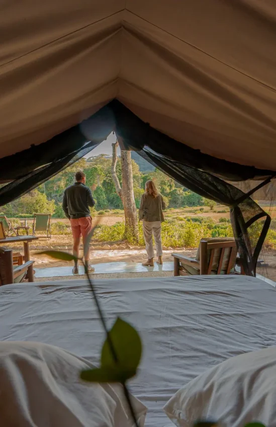 Interior view of safari tent with open entrance and guests outside, Kitich Camp, Northern Kenya, Kenya
