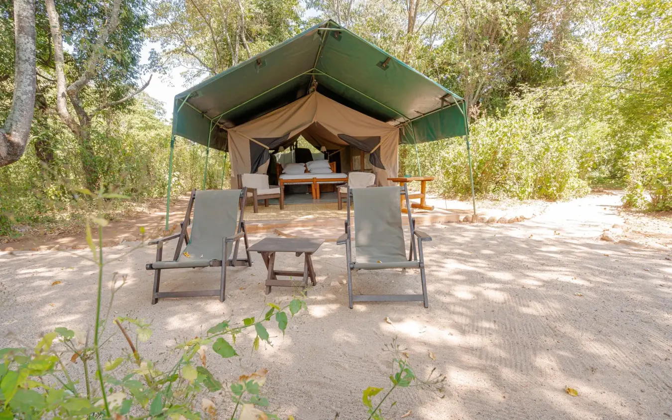 Canvas tent with green roof and seating area, Kitich Camp, Northern Kenya, Kenya