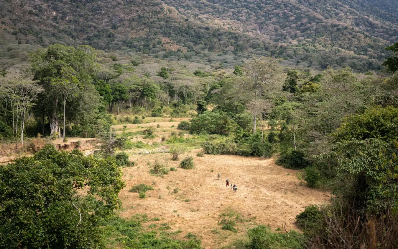 Forest valley clearing with distant hills and sparse vegetation, Kitich Camp, Northern Kenya, Kenya