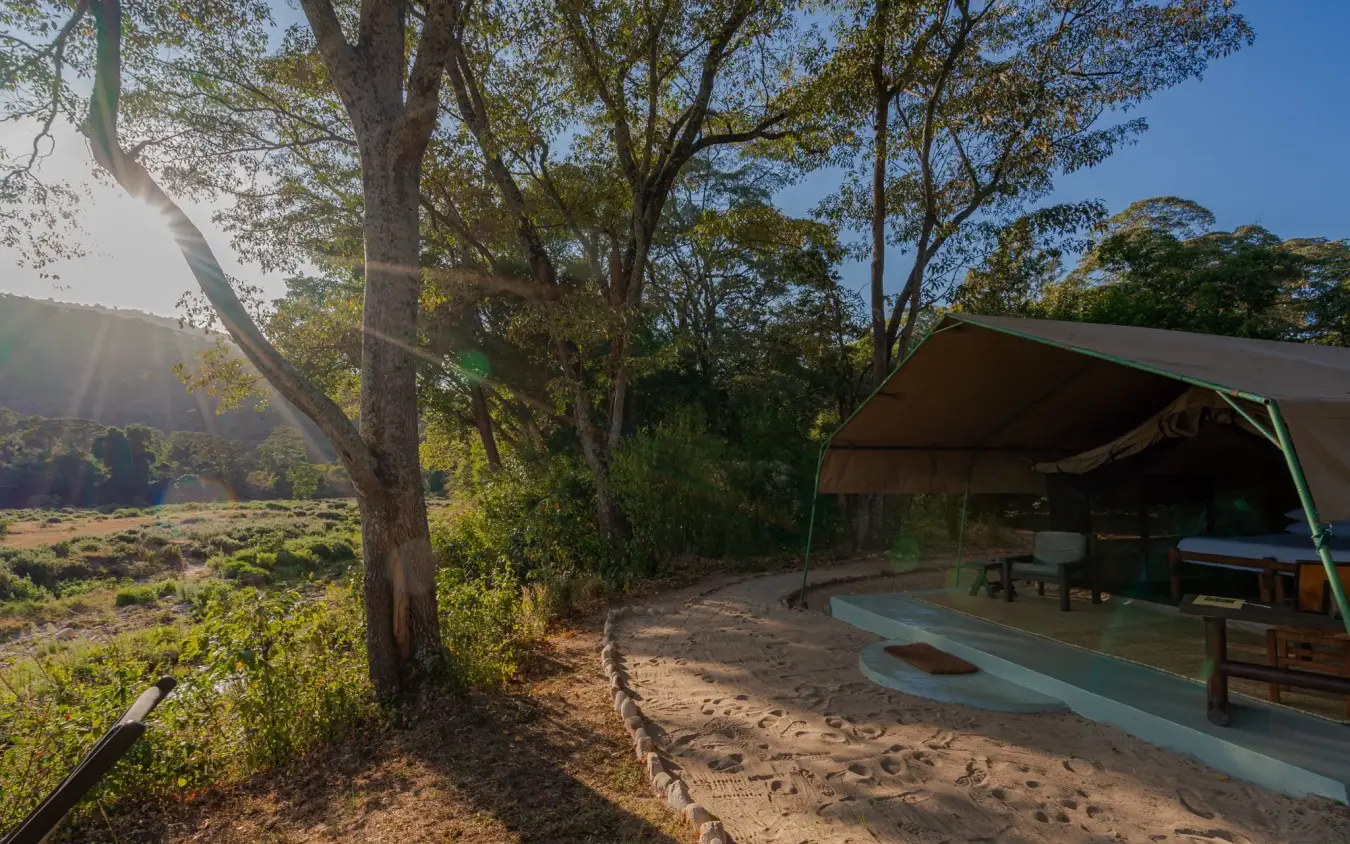 Safari tent accommodation nestled among large trees, Kitich Camp, Northern Kenya, Kenya