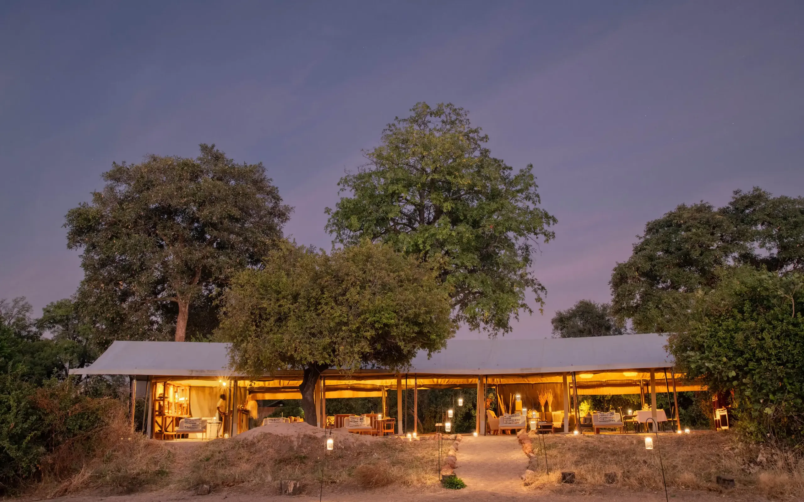Open-sided safari lodge at dusk with large trees, Kokoko Camp, Ruaha National Park, Tanzania