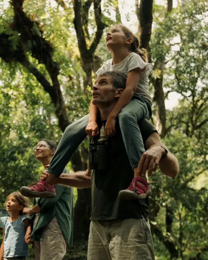 Family of four looking up in forest canopy, Arusha, Tanzania