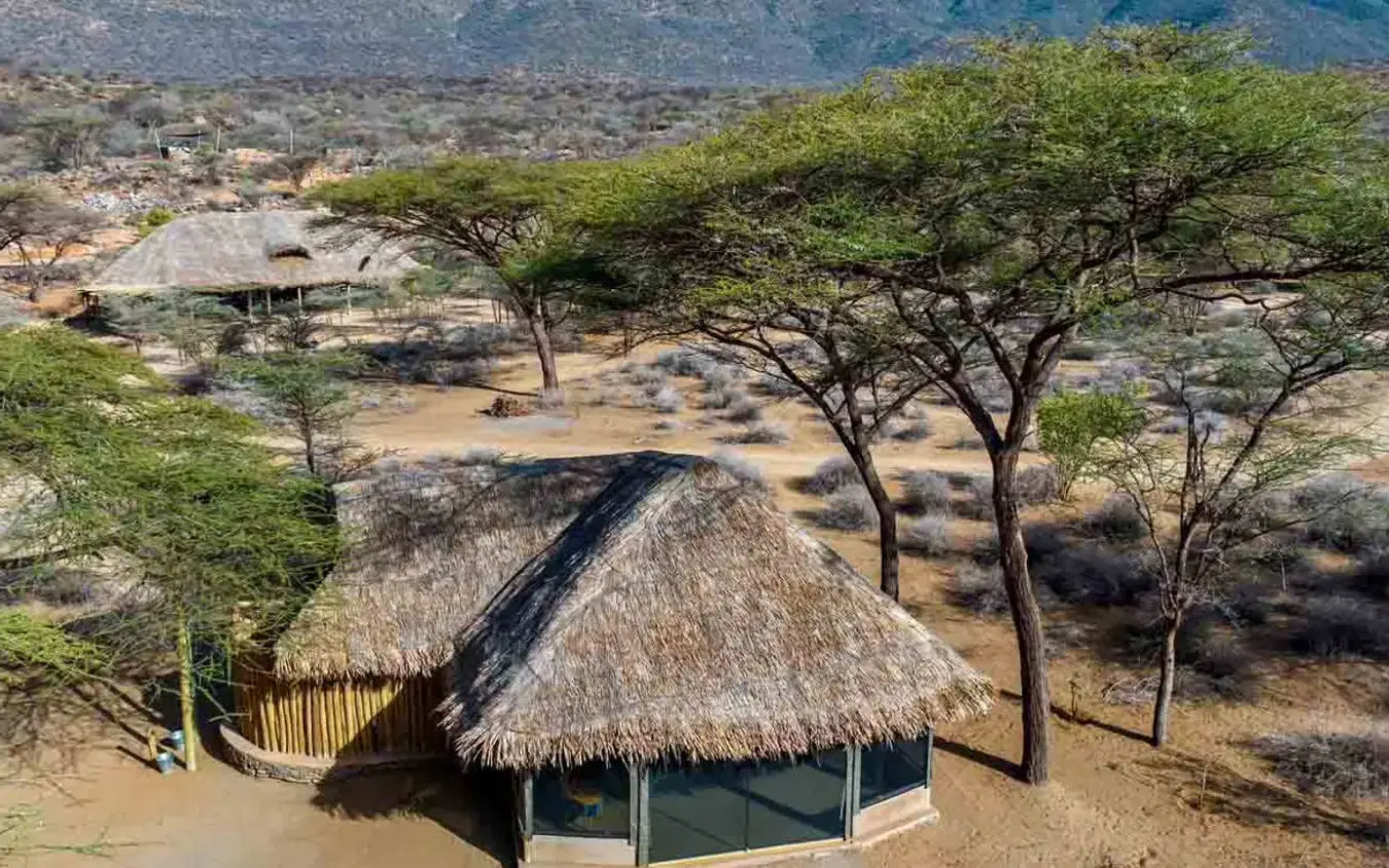 Traditional thatched-roof bungalow among acacia trees with mountains beyond, Koros Camp, Northern Kenya, Kenya