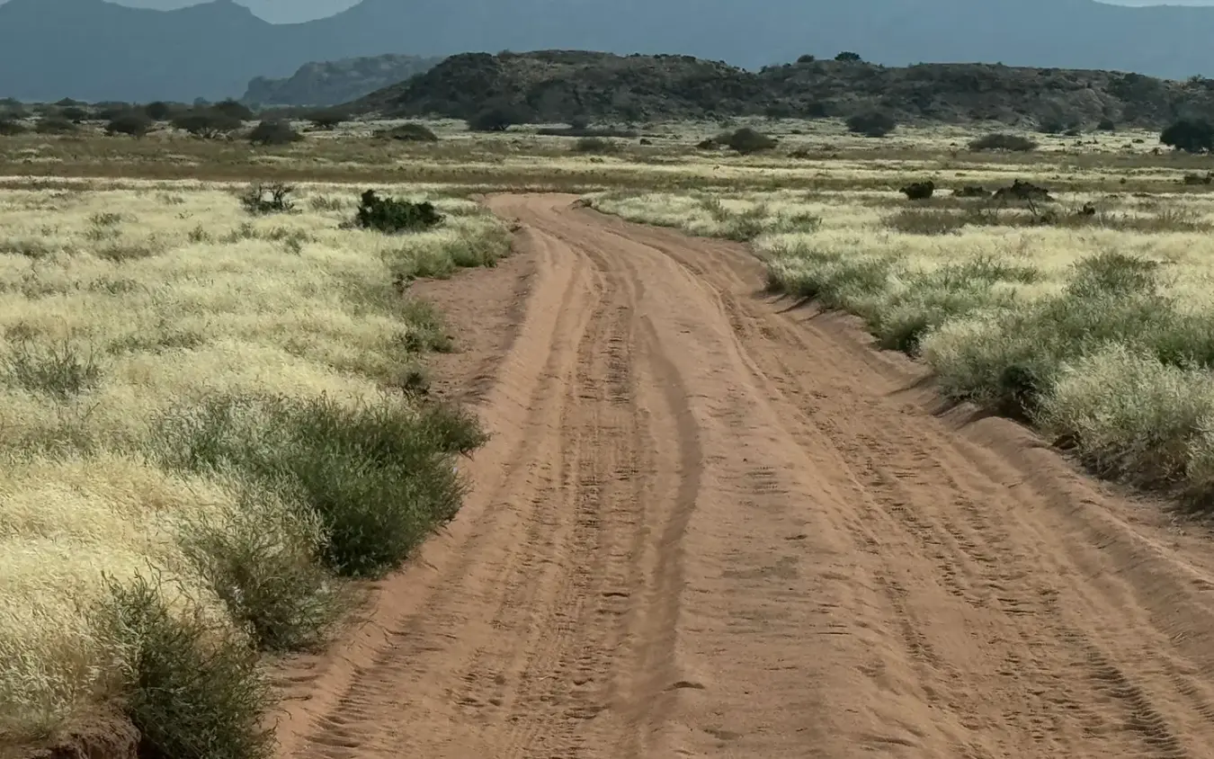 Red dirt road stretching through sparse savanna landscape, Koros Camp, Northern Kenya, Kenya