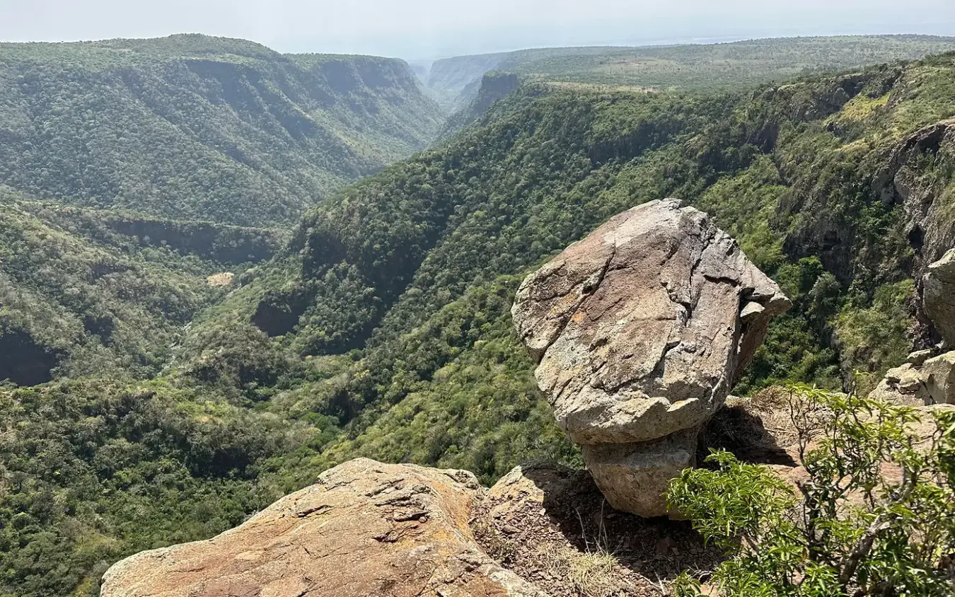 Deep canyon valley with dense green vegetation and rock formations, Koros Camp, Northern Kenya, Kenya