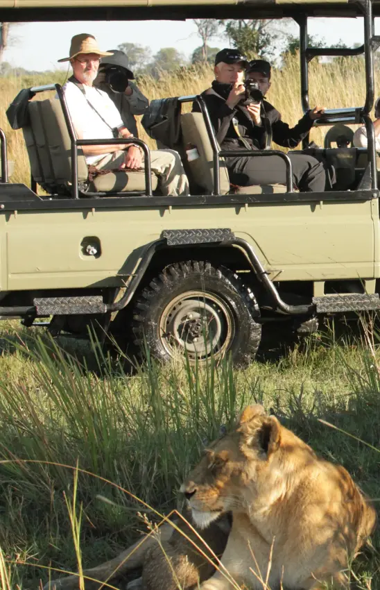 Open-sided safari vehicle with guests observing lioness on grassland game drive, Kwando Lagoon Camp, Linyanti Wildlife Reserve, Botswana