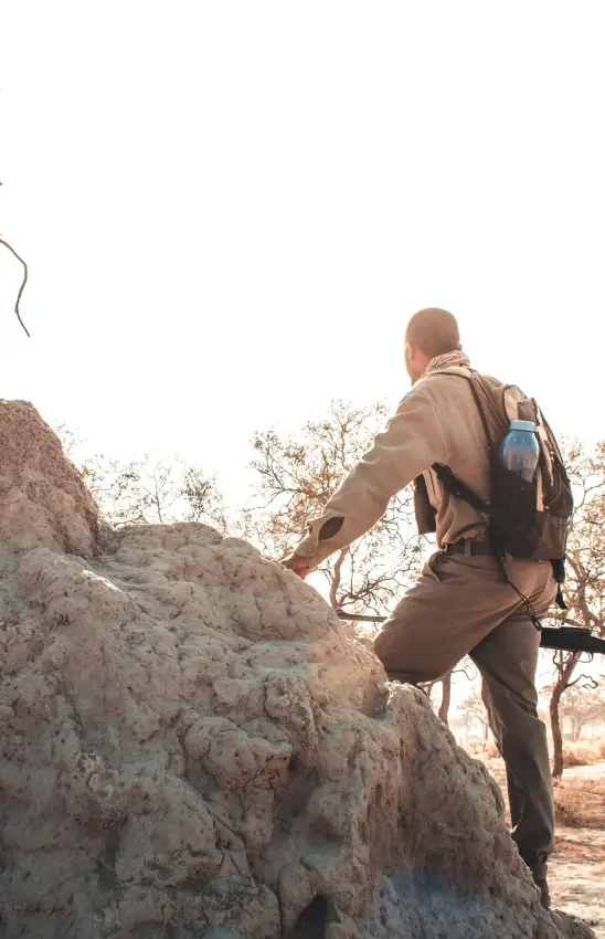 Hiker climbing rocky terrain with backpack in arid landscape, Kwando Lebala Camp, Linyanti Wildlife Reserve, Botswana