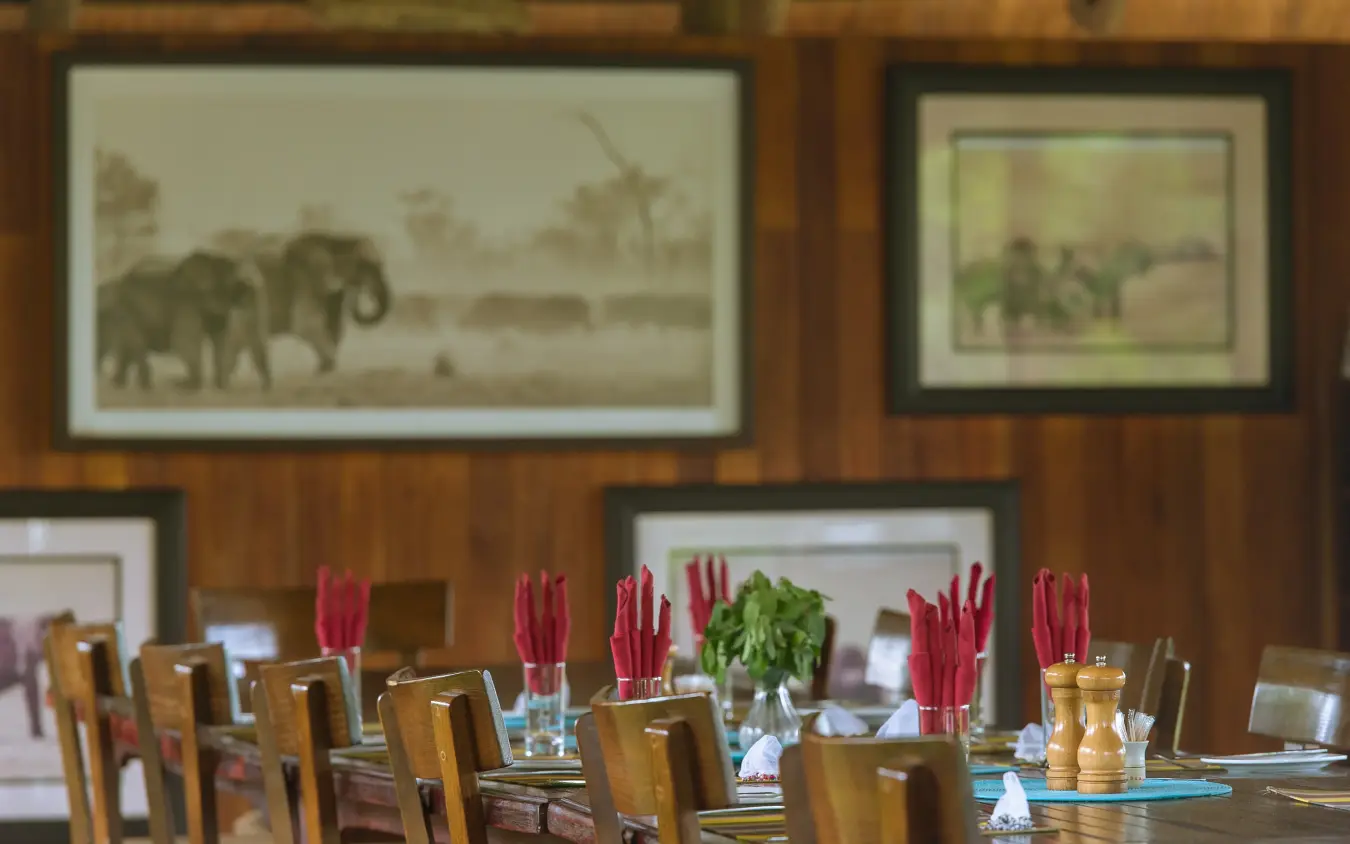 Dining room with wooden chairs and red table settings overlooking wildlife artwork, Kwando Lebala Camp, Linyanti Wildlife Reserve, Botswana