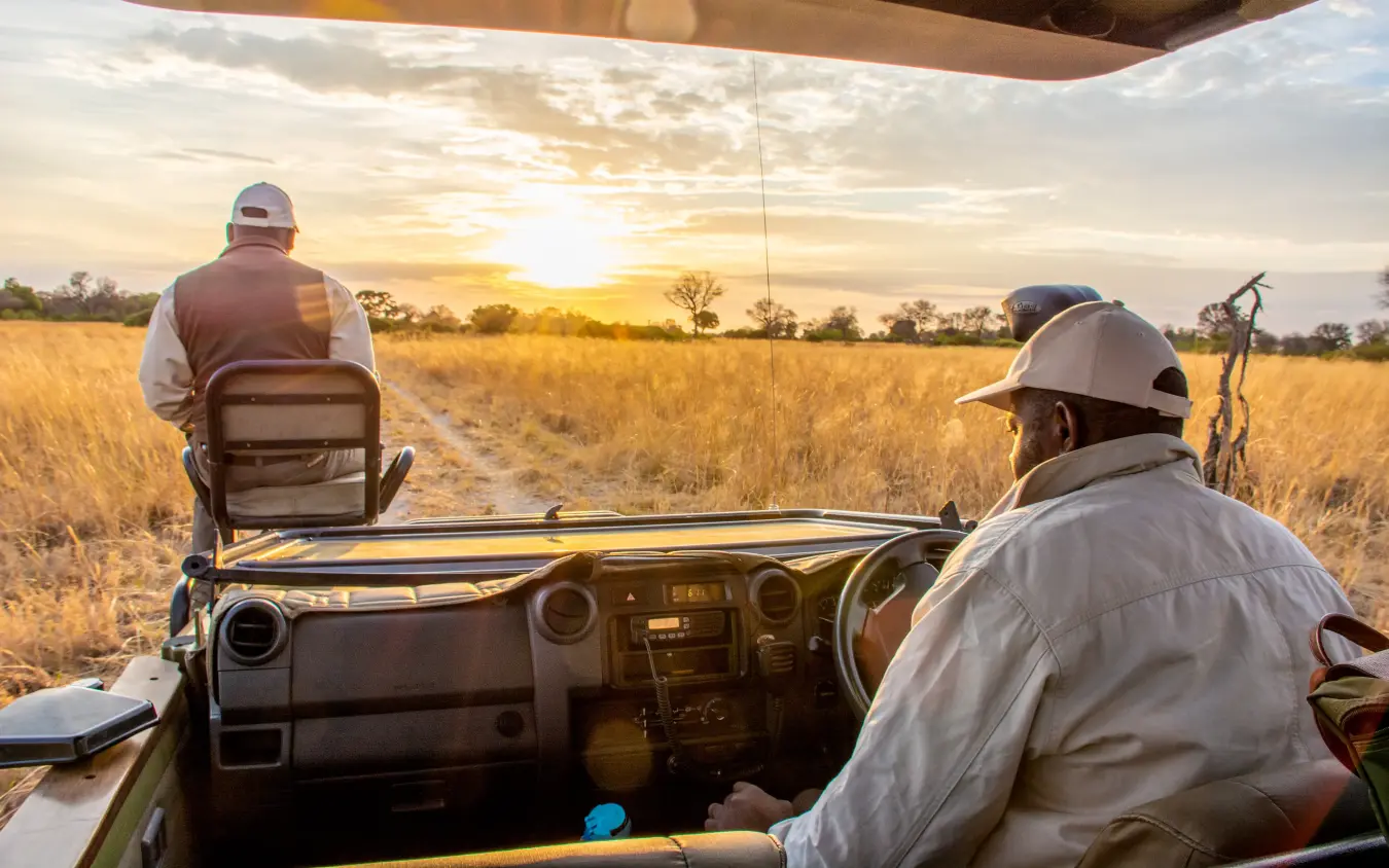 Open-air safari vehicle with guests watching sunset over golden grassland, Kwando Splash Camp, The Okavango Delta, Botswana
