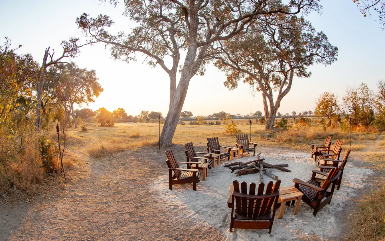 Campfire gathering with Adirondack chairs under large acacia tree at dusk, Kwando Splash Camp, The Okavango Delta, Botswana