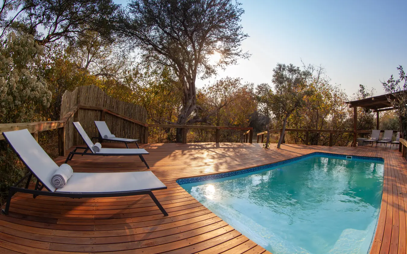 Swimming pool with loungers on wooden deck surrounded by trees at sunset, Kwando Splash Camp, The Okavango Delta, Botswana