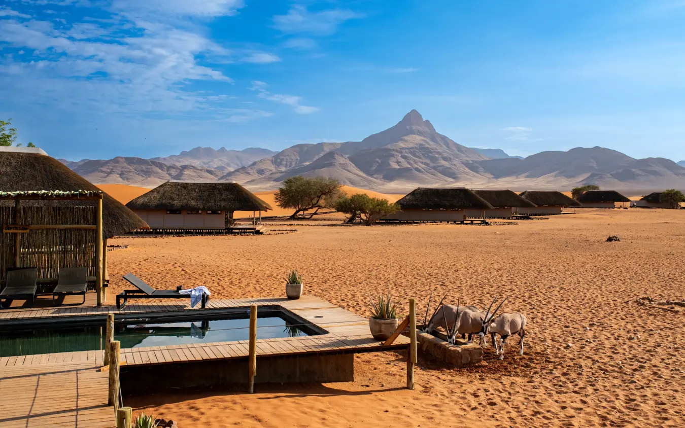 Desert lodge with infinity pool and oryx grazing in sand dunes at sunset, Kwessi Dunes, NamibRand Private Reserve, Namibia