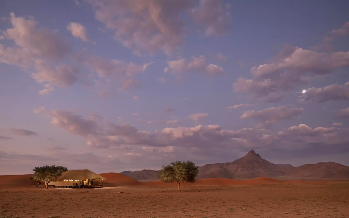 Safari lodge with acacia trees in vast desert landscape at dusk, Kwessi Dunes, NamibRand Private Reserve, Namibia