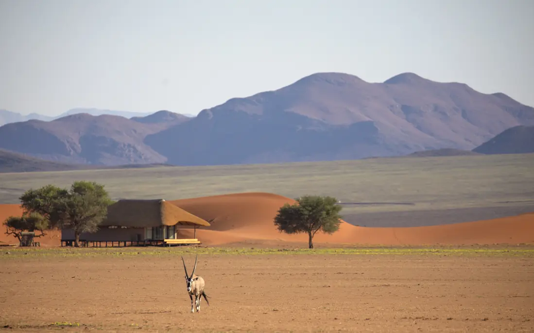 Oryx walking toward lodge with sand dunes and mountains under hazy sky, Kwessi Dunes, NamibRand Private Reserve, Namibia