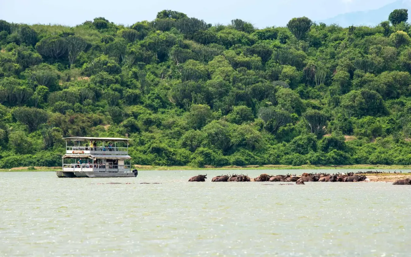 Tourist boat on river with forested gorge backdrop, Kyambura Gorge Lodge, Queen Elizabeth NP, Uganda