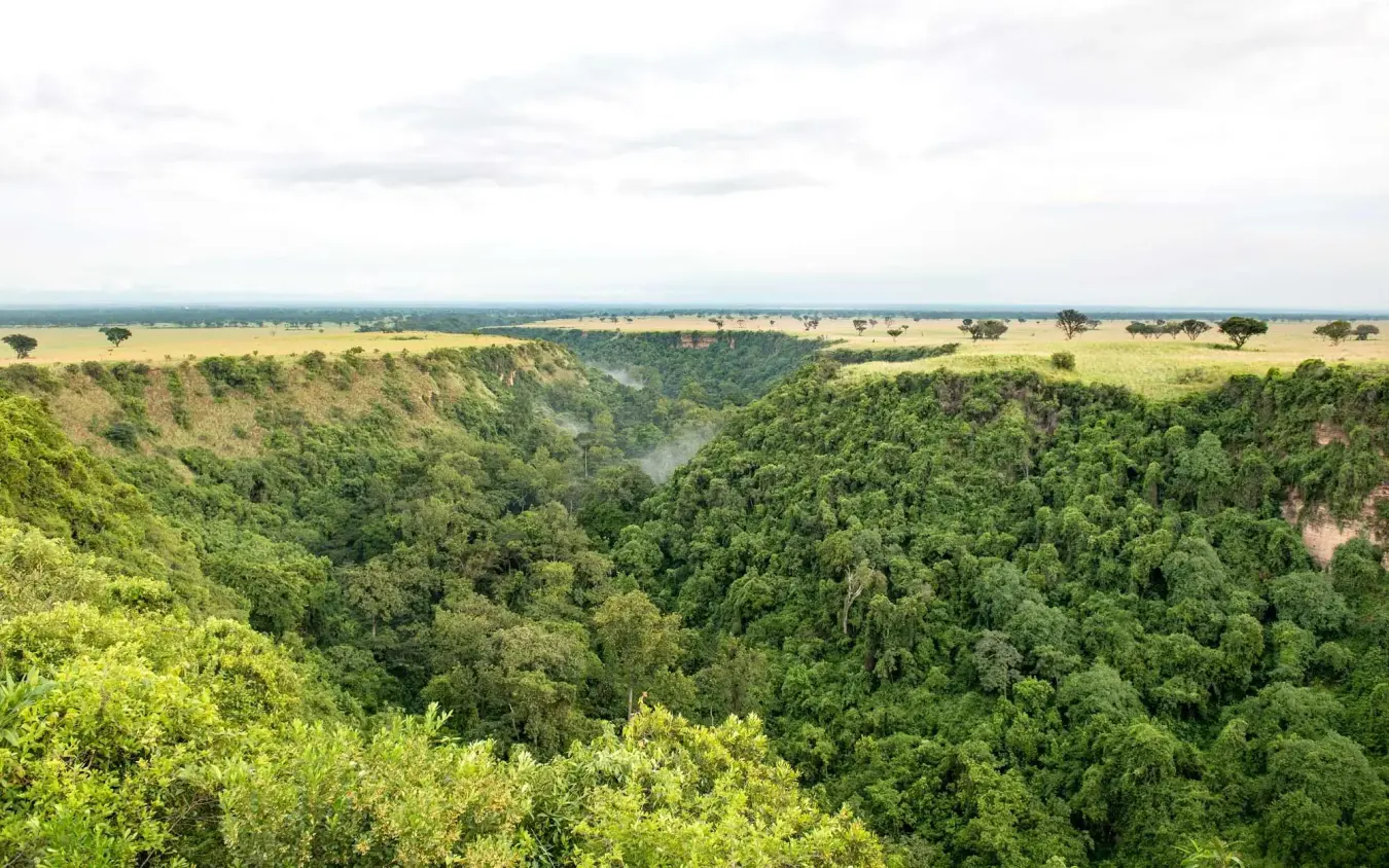 Deep forested gorge with river winding through lush vegetation, Kyambura Gorge Lodge, Queen Elizabeth NP, Uganda