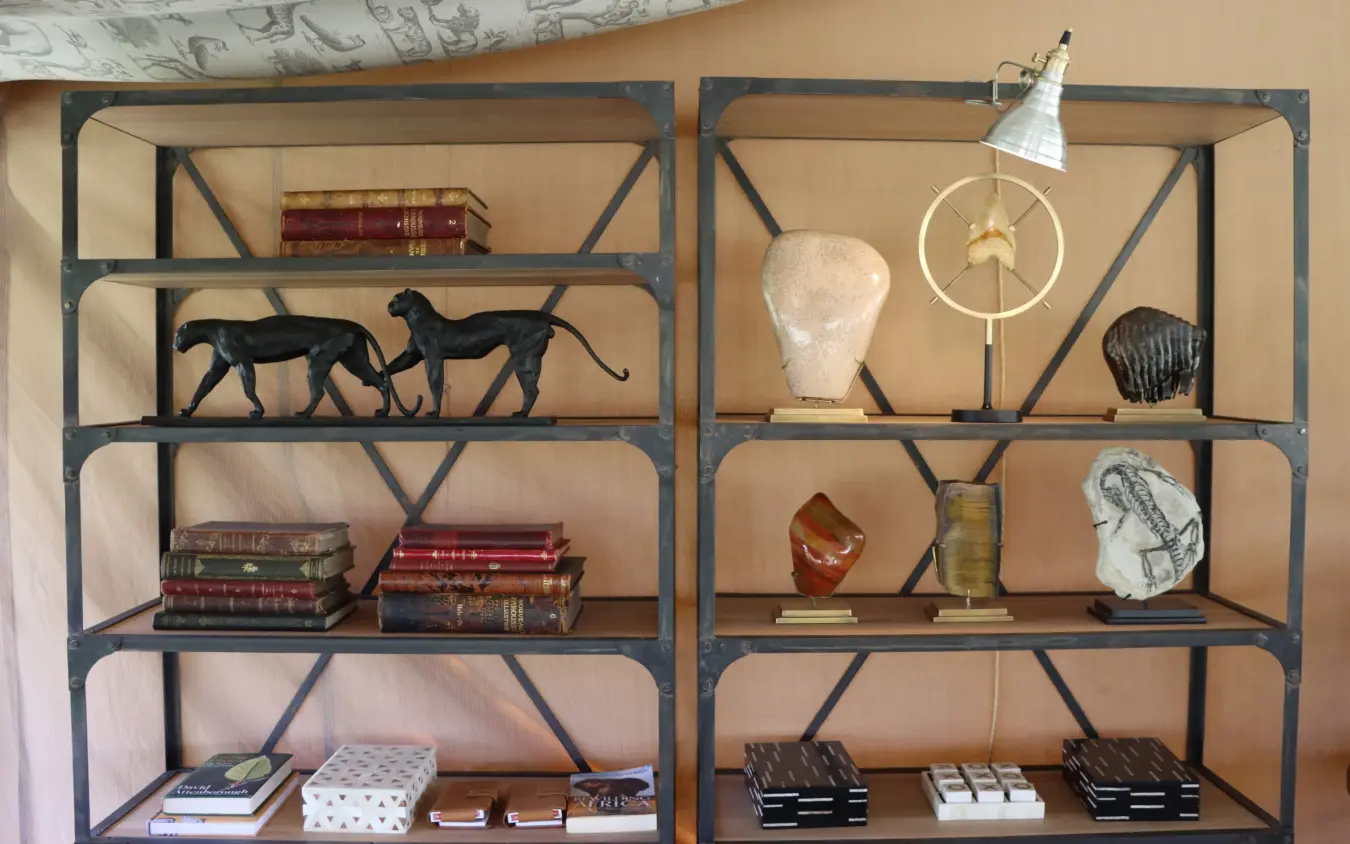 Industrial shelving unit displaying books, sculptures and decorative objects against peach wall, Laba Migration Camp, Serengeti National Park, Tanzania