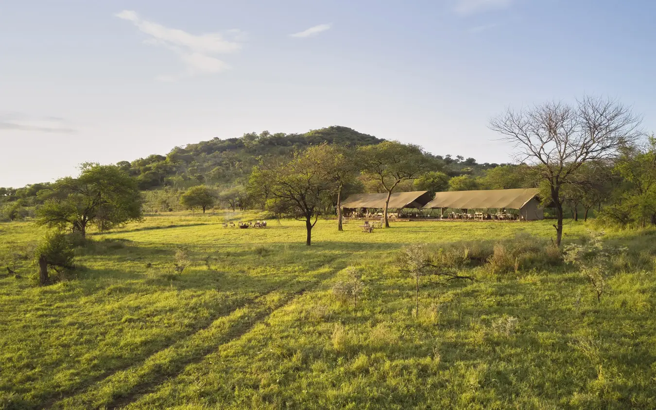 Safari lodge with thatched roof beneath acacia trees in grassland valley, Laba Migration Camp, Serengeti National Park, Tanzania