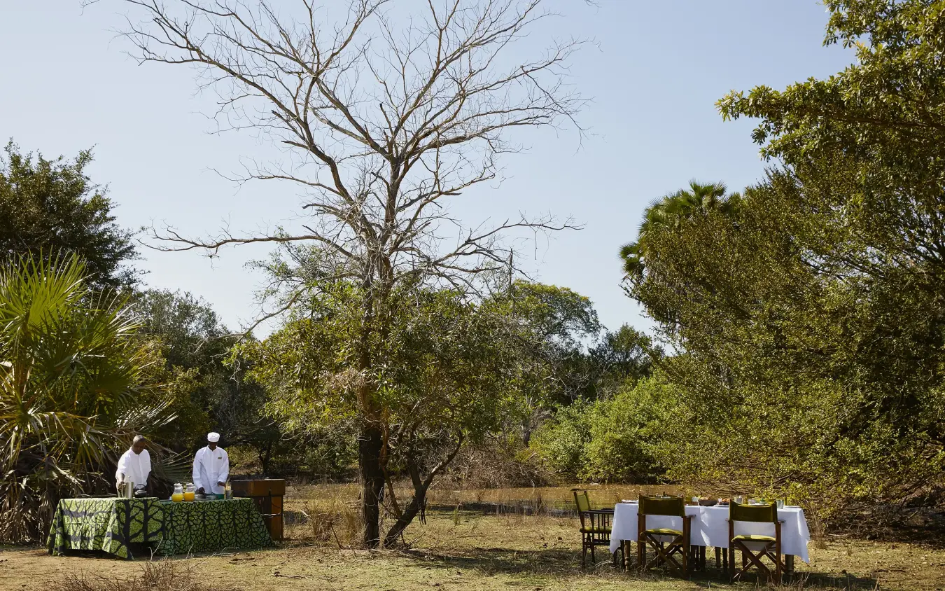 Outdoor dining setup with staff in natural woodland clearing at midday, Laba Siwandu, Nyerere National Park, Tanzania
