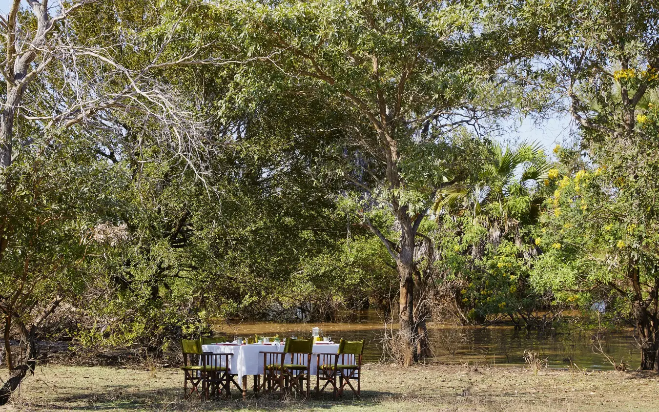 Dining table set up on riverbank under shade trees with woodland backdrop, Laba Siwandu, Nyerere National Park, Tanzania