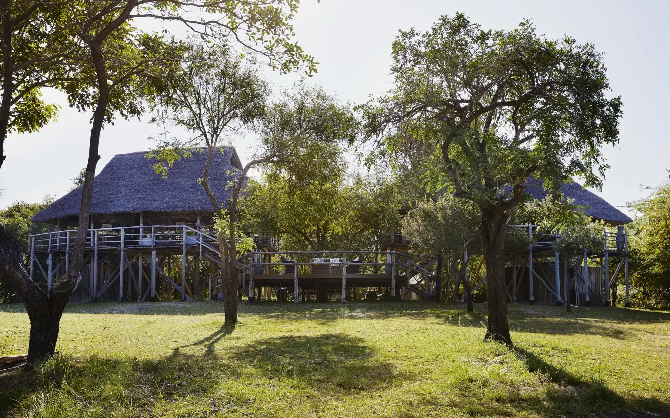 Elevated wooden lodge structures with thatched roofs among acacia trees, Laba Siwandu, Nyerere National Park, Tanzania