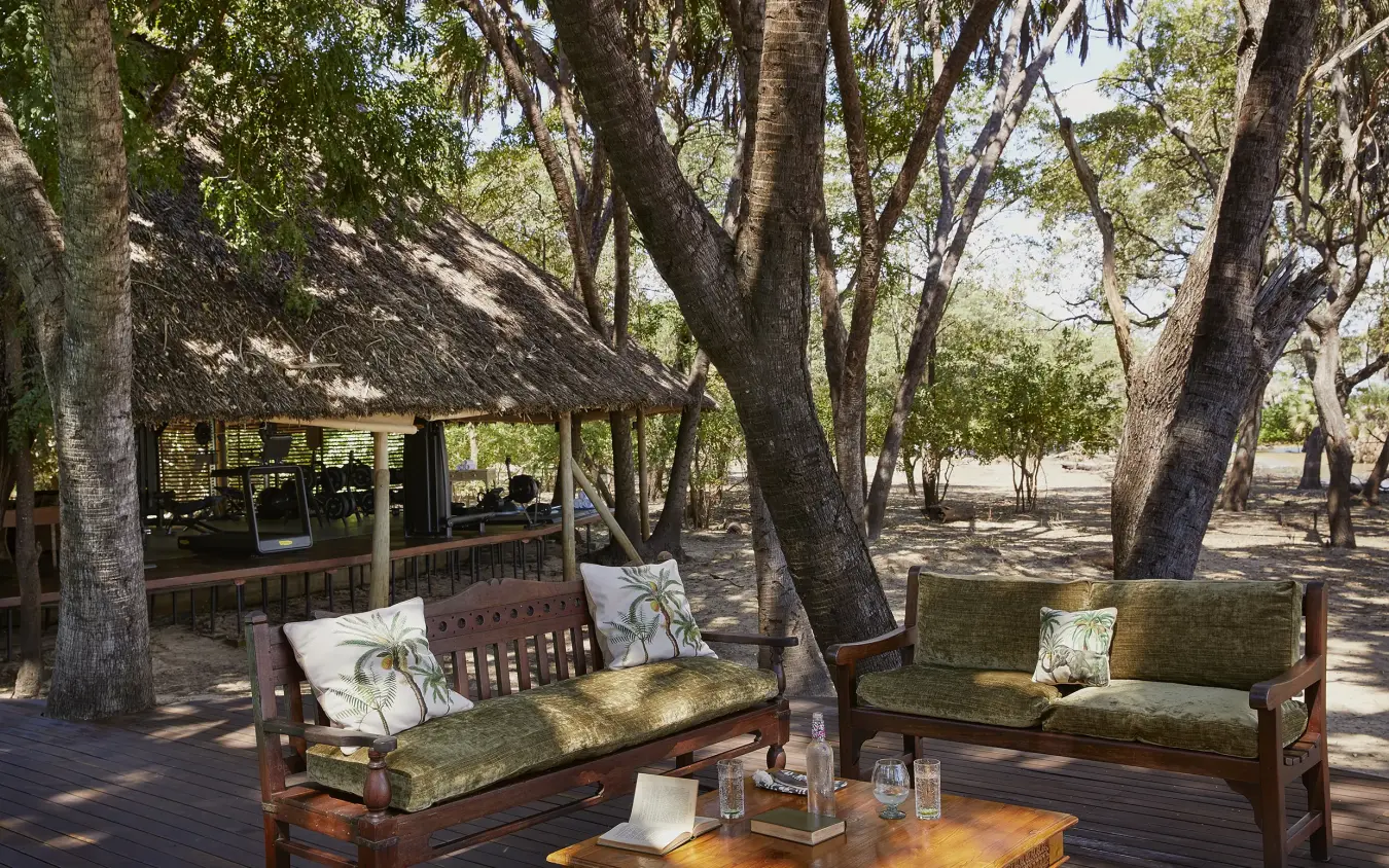 Wooden deck seating area beneath large trees in savanna woodland setting, Laba Siwandu, Nyerere National Park, Tanzania