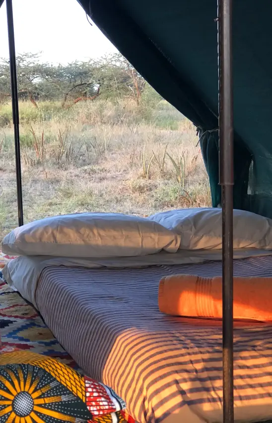 Interior view of canvas tent with bed and savanna landscape, Karisia Walking Safaris, Laikipia Highlands, Kenya