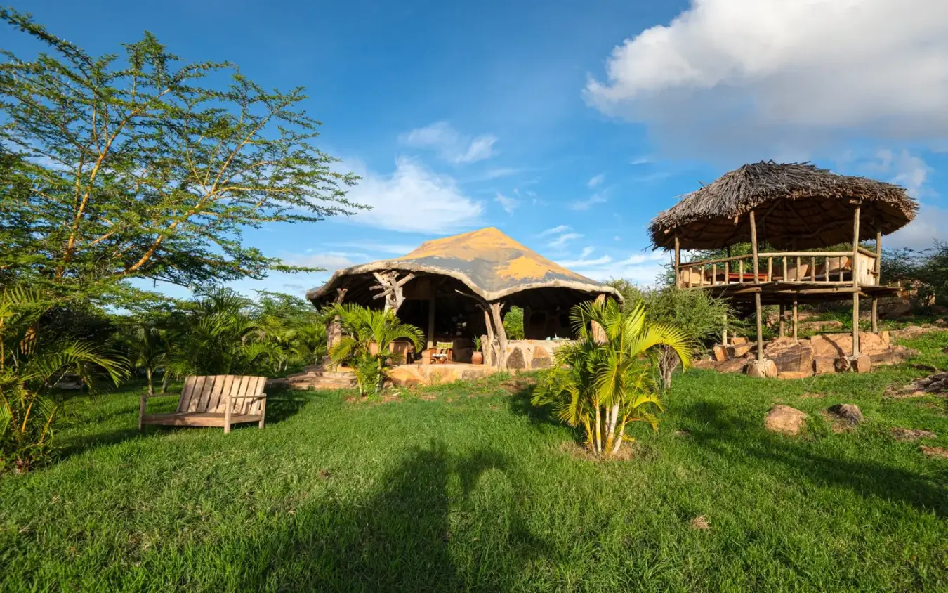 Thatched-roof accommodation structures on manicured lawn with palms, Laikipia Wilderness, Laikipia Highlands, Kenya