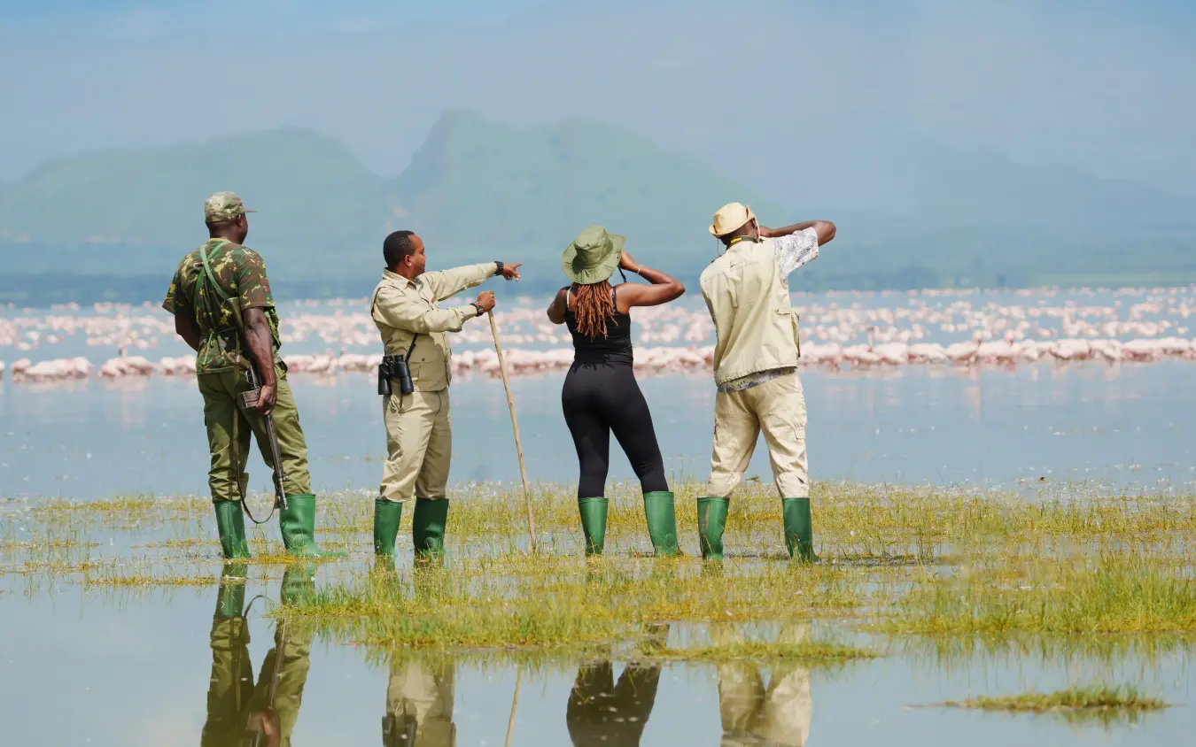 Guides and guests wading through shallow wetland with mountains beyond, Lake Elmenteita Serena Camp, Rift Valley Lakes, Kenya