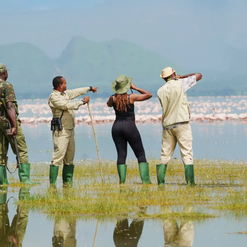 Guides and guests wading through shallow wetland with mountains beyond, Lake Elmenteita Serena Camp, Rift Valley Lakes, Kenya