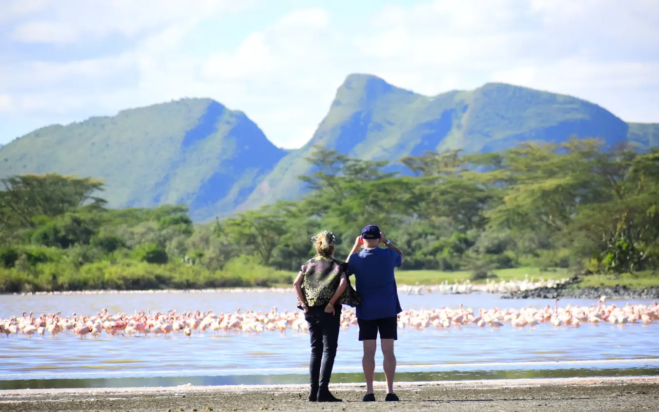 Tourists photographing flamingo flock at lake shore with mountain backdrop, Lake Elmenteita Serena Camp, Rift Valley Lakes, Kenya