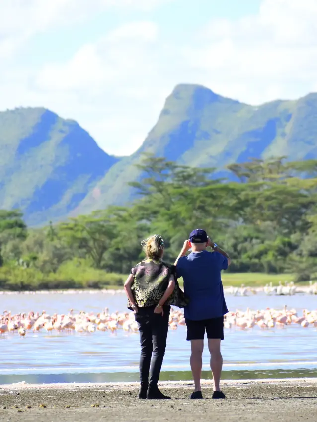 Tourists photographing flamingo flock at lake shore with mountain backdrop, Lake Elmenteita Serena Camp, Rift Valley Lakes, Kenya