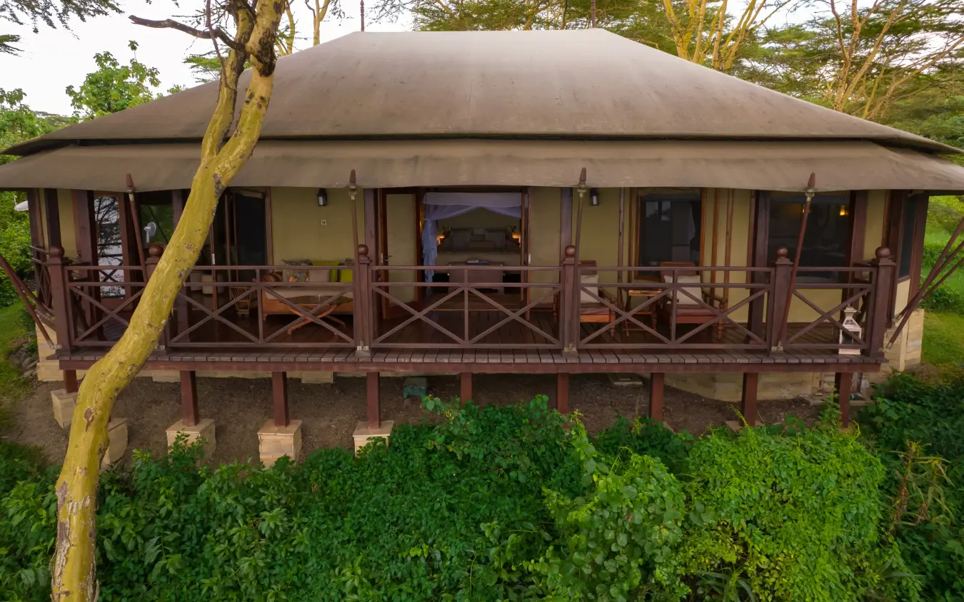 Elevated safari lodge with thatched roof and wooden veranda among trees, Lake Elmenteita Serena Camp, Rift Valley Lakes, Kenya